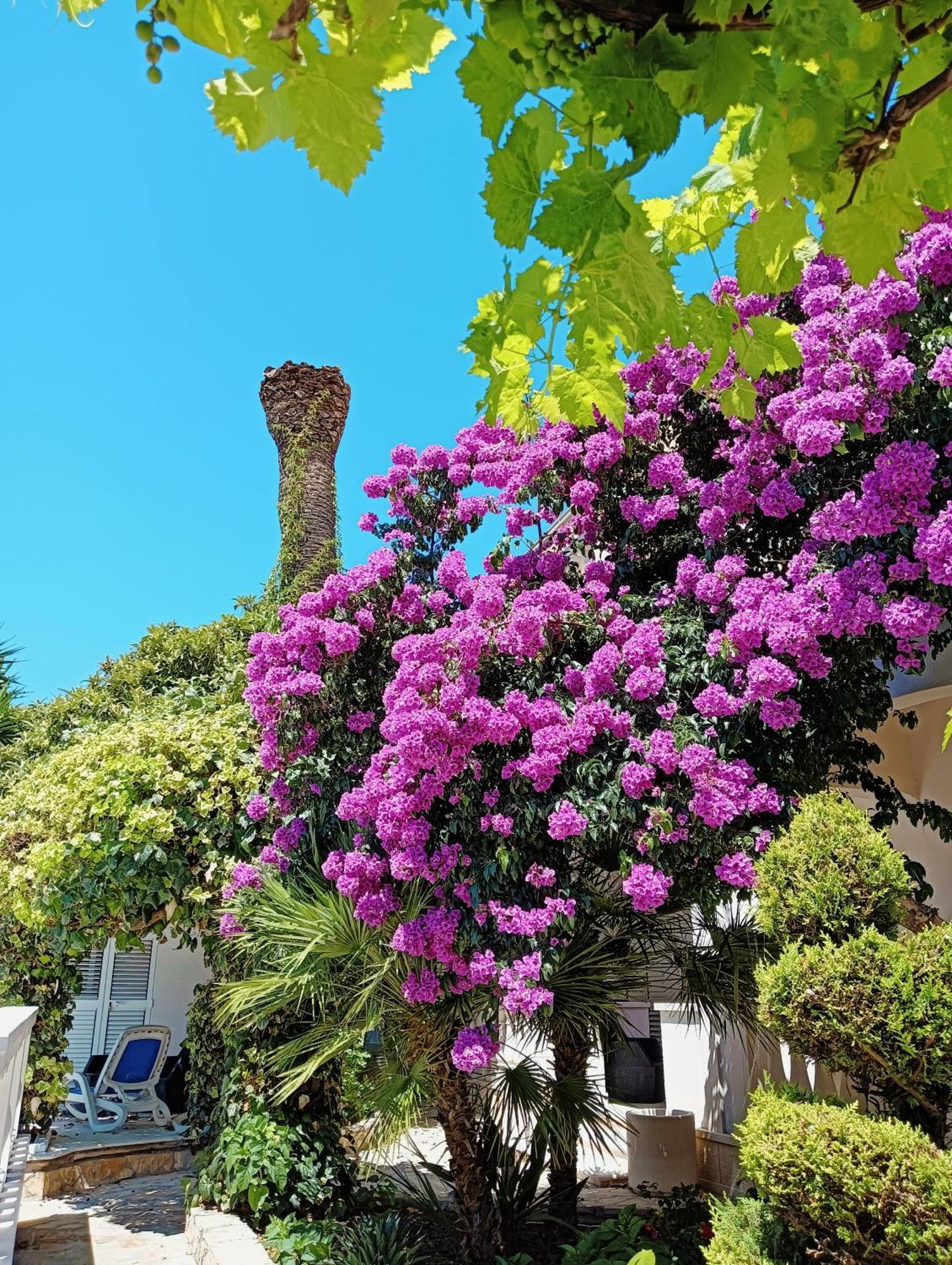 Villa Aspalathos Kaštela Exteriér fotografie